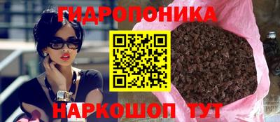 индика Ачхой-Мартан